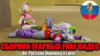 Thumbnail: Рокси и Чика попали в Бекрумс?!😱 - Five nights at freddy's Угарная Озвучка