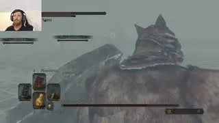 Thumbnail: DS2 Aava, the King's Pet