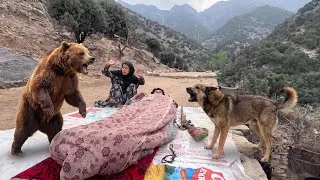 Thumbnail: This Elderly Couple Sleeps Outdoors in the Wildest Mountains — Then Wild Bears & Wolves Appeared! 🐻🐺
