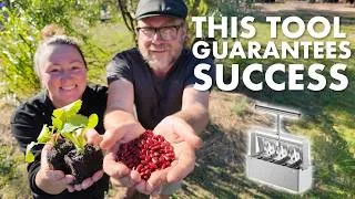 Thumbnail: We're adding this practice to our FOOD SECURITY system