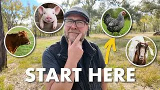 Thumbnail: We're Raising Animals for FOOD SECURITY - But the Order Matters!