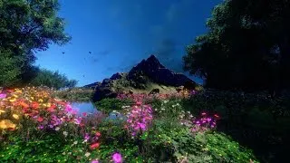 Thumbnail: Wanderer - Ruth Acuff