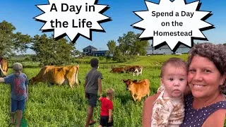 Thumbnail: A Day in My Homesteading Life, Slow Living