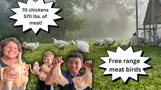 Thumbnail: The  Biggest, Strongest Chickens We Have Ever Raised; 570 Pounds of meat!