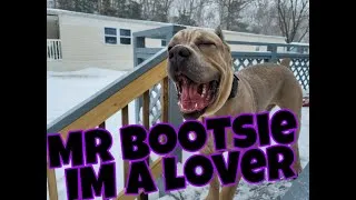 Thumbnail: #canecorso #puppylove