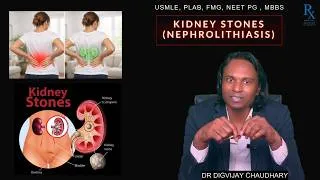 Thumbnail: 💎 Kidney Stones in 20 Minutes 🚀 | Calcium Oxalate, Uric Acid & Struvite Stones Made Easy-DR DIGVIJAY