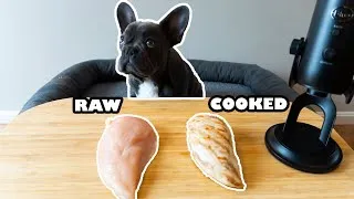 Thumbnail: ASMR Dog Chooses Raw VS Cooked Chicken
