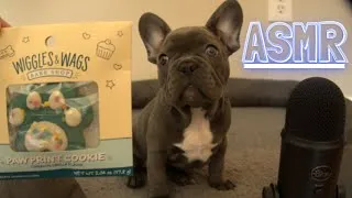 Thumbnail: ASMR French Bulldog Puppy - Cookie Taste Test