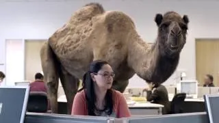 Thumbnail: Hump Day Camel Commercial - Happier than a Camel on Wednesday - Hump Daaaay!