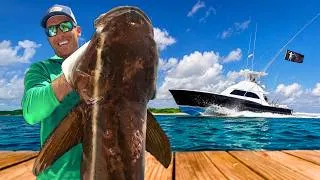 Thumbnail: 3 Days Chasing Carolina's Monster Cobia Migration (Catch Clean & Cook)