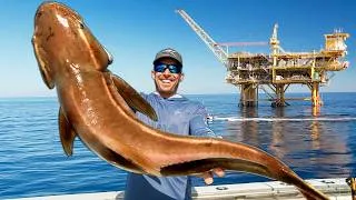 Thumbnail: Massive Grouper & Cobia under Huge Oil Rig (Catch Clean & Cook)