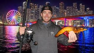 Thumbnail: Chasing Urban Miami’s Biggest River Monster 