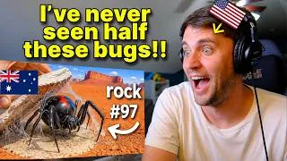 Thumbnail: American reacts to I Flipped 100 Rocks in Australia, Here's What I Found...