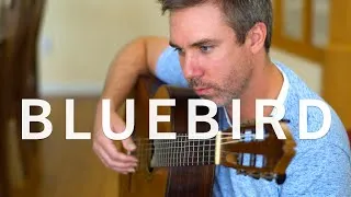 Thumbnail: Bluebird | Original Piece for Guitar | Ryan Walsh