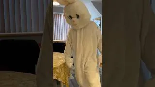 Thumbnail: Get yo bunny up 🥕 #carrots #rabbit #bunny #memes #funny