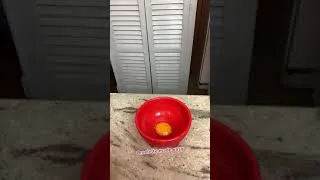Thumbnail: Omelette made easy.