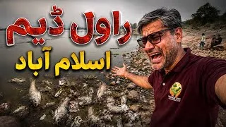 Thumbnail: Rawal Dam Islamabad Disaster | Thousands of Dead Fish | Is Sewage Poisoning Our Drinking Water?