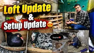 Thumbnail: LOFT & SETUP UPDATE!😍🕊