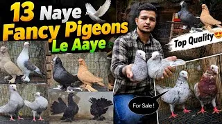 Thumbnail: 13 New Top Quality Fancy Pigeons Ka Shoq!😍🕊
