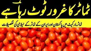 Thumbnail: Tomato Market Big Update | Iranian vs Pakistani Tomato Auction Prices Drop | 24 July 2026