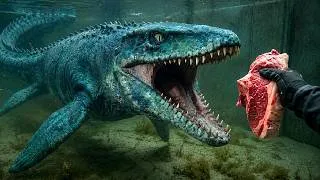 Thumbnail: I Got a Pet Sea Monster