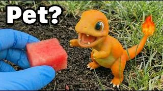 Thumbnail: I Got a Pet Pokémon
