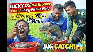 Thumbnail: Lucky Day! Two Brothers Found Big Catfish in Field 😱🐟 | গ্রামের জমিতে শিং মাছ ধরার মজা!"