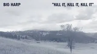 Thumbnail: Big Harp - Kill It, Kill It, Kill It [Official Audio]