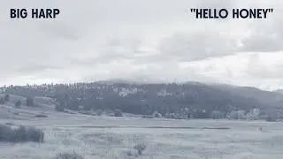 Thumbnail: Big Harp - Hello Honey [Official Audio]