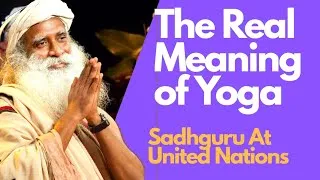 Thumbnail: Actual Meaning of Yoga - Sadhguru at United Nations| Get Inner Peace #Sadhguru #Yoga