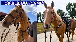 Thumbnail: GOLDEN BOY IS STARTING BOOT CAMP!