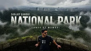 Thumbnail: The Lungs of Mumbai | Sanjay Gandhi National Park