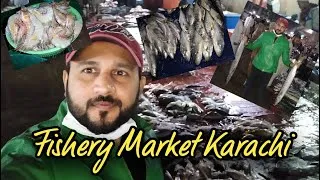 Thumbnail: Fishery market karachi || Fresh and wholesale rate