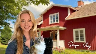 Thumbnail: A Calm Day At Home With My Two Cats | No Talk | Cooking Food