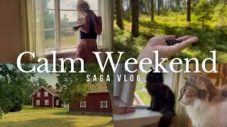 Thumbnail: Slow Living With My Cats In Sweden 🌲🌿 Cozy Vlog | No Talk | Calm Music | Nature