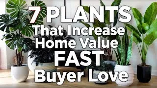 Thumbnail: 7 Plants That Increase Home Value FAST | Buyers Love