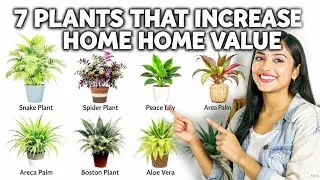 Thumbnail: 7 Indoor Plants That Clean Air and Increase Your Home Value in 2026