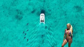 Thumbnail: We Found GIANT Bluefin Tuna in the Bahamas (Catch & Cook)