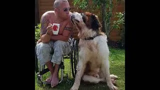 Thumbnail: Dave the Saint Bernard is dead 😞 devastated. He had bone cancer. Run free my best friend