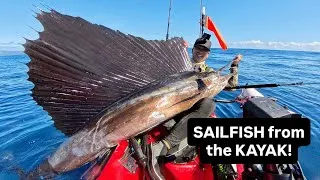 Thumbnail: Catching a SAILFISH from my KAYAK! | HAWAII CATCH COOK CREATE