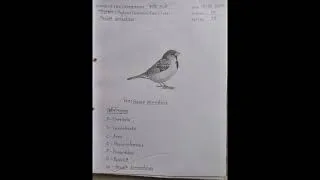 Thumbnail: biology 2nd paper practical for hsc exam #practical #biology #viralvideo #hsc2025