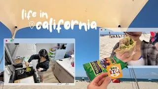 Thumbnail: socal life vlog | beach day with friends & lots of chatty mornings