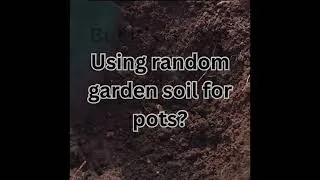 Thumbnail: Amazing Plant Facts + Easy Care Tips You Need to Know! 🪴🌱