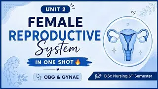 Thumbnail: 🔥 Unit 2 | Female Reproductive System in ONE SHOT 🩺✨ | OBG & Gynae | B.Sc Nursing 6th Semester 📚❤️