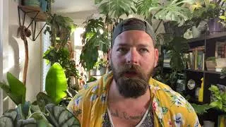 Thumbnail: The END of The Jungle Room! | We Are Moving VLOG 1