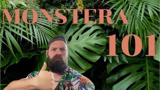 Thumbnail: Monstera House Plant Care 101 | Everything You Need to Know About Monstera Deliciosa