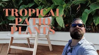 Thumbnail: Bringing Your Indoor Houseplants Outside for Summer | How To Transition Your Houseplants Safely