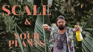 Thumbnail: Plant Pests | How to Treat & Identify Scale on Your Houseplant