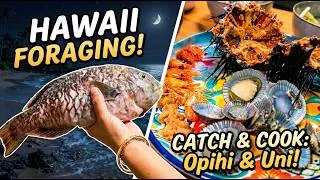 Thumbnail: Fishing / Foraging for Dinner in Hawaii