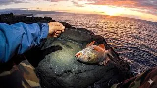 Thumbnail: Fishing Till Sunrise!  Mu on Da Spinner! | Catch and Cook!